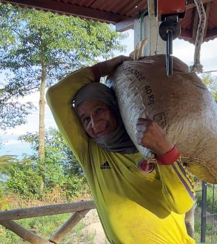 Trabajo de recolección y proceso de café en Finca La Isabela.